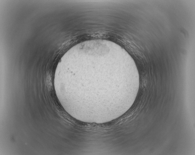 X0000115681106200912101127