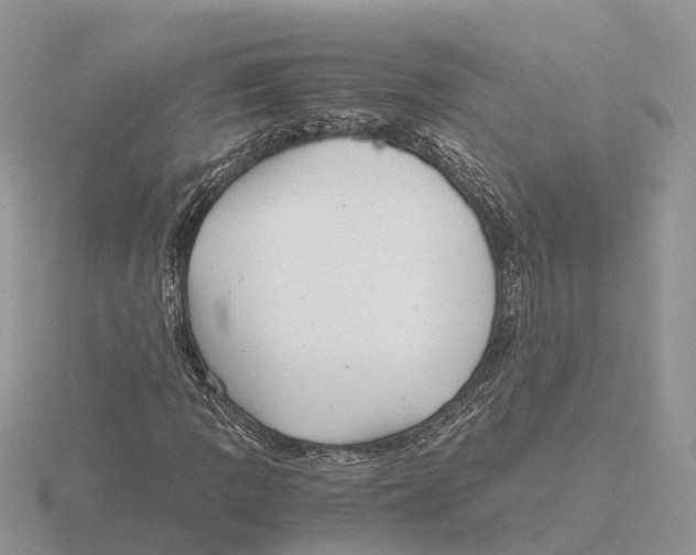 X0000115681109200912101127