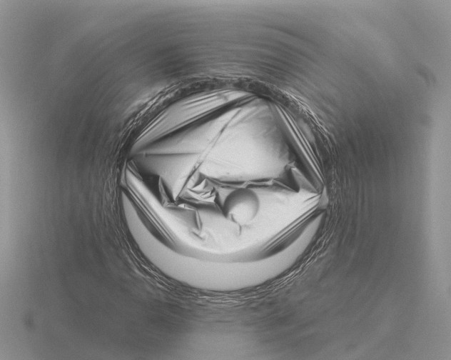 X0000115681110200912101127