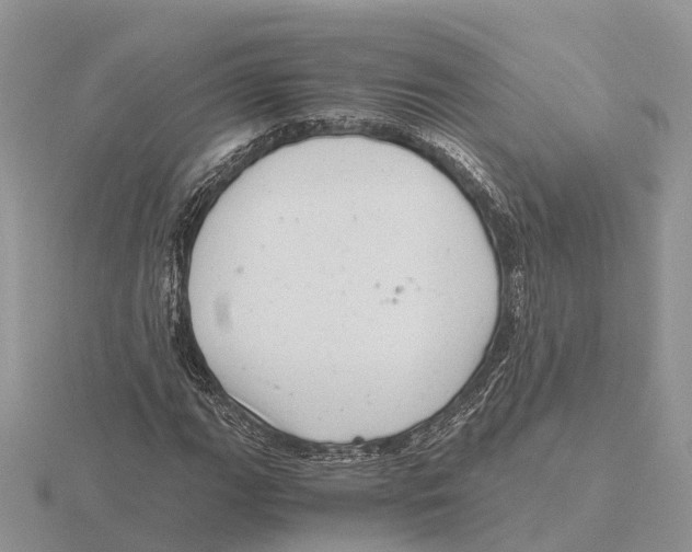 X0000115681111200912101127