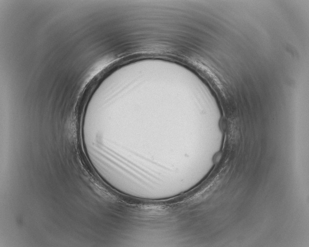 X0000115681114200912101127