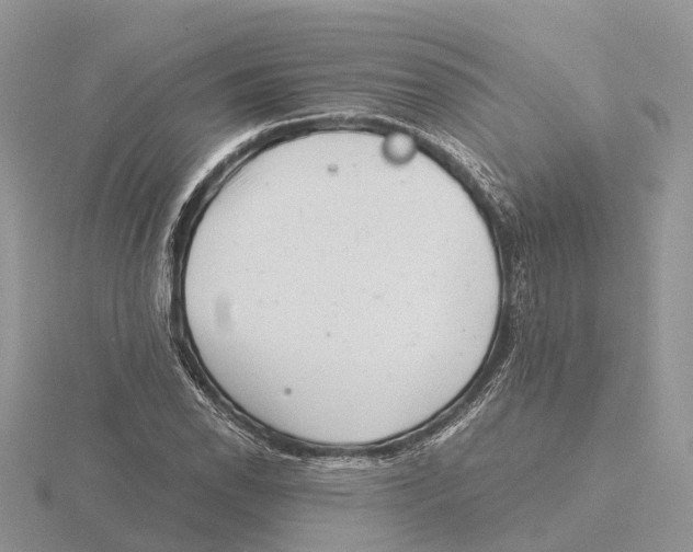 X0000115681118200912101127