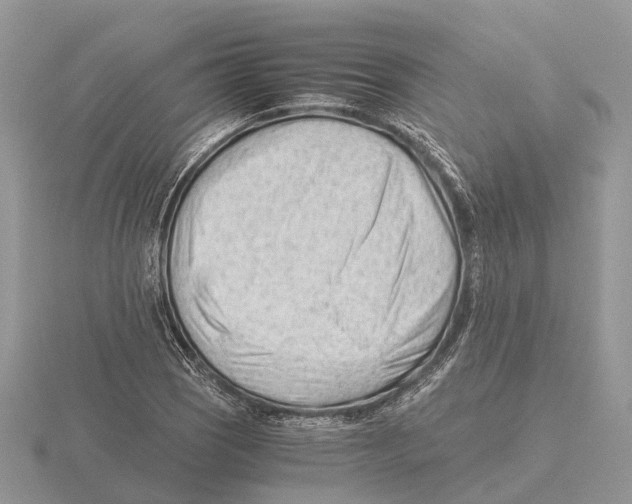 X0000115681121200912101127