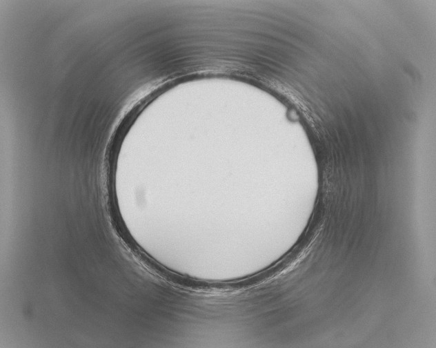 X0000115681122200912101127