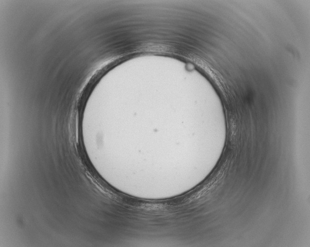 X0000115681123200912101127