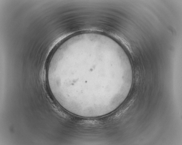 X0000115681125200912101128