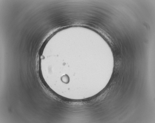 X0000115681126200912101128