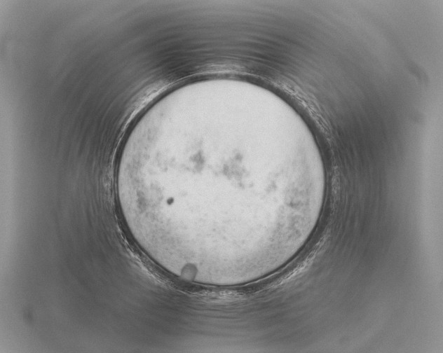 X0000115681129200912101128