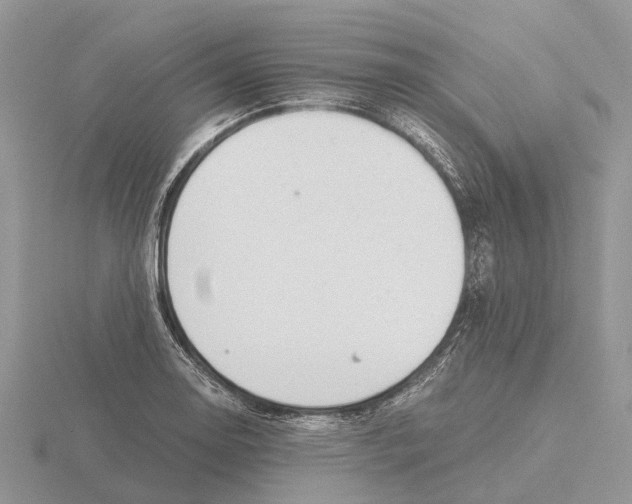 X0000115681130200912101128