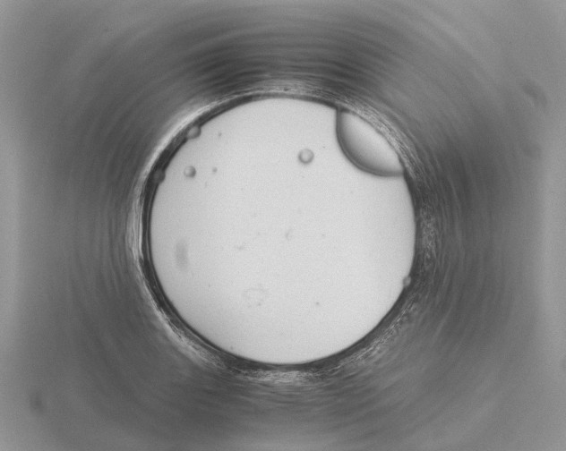 X0000115681131200912101128