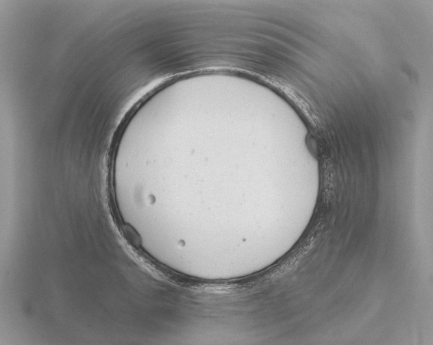 X0000115681134200912101128