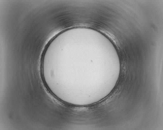 X0000115681135200912101128