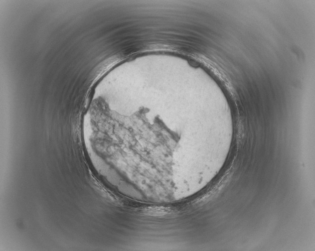 X0000115681137200912101128