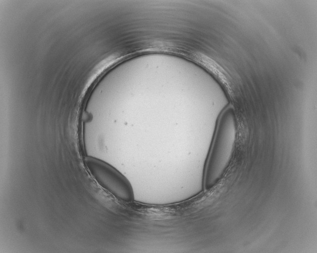 X0000115681138200912101128