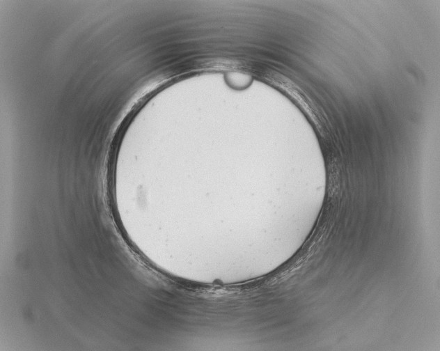 X0000115681139200912101128