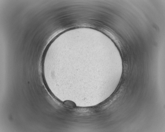 X0000115681141200912101128