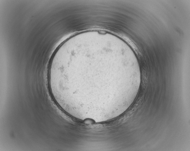 X0000115681142200912101128