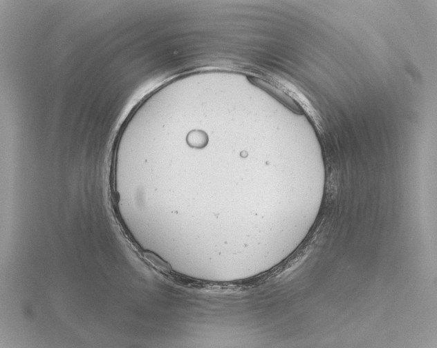 X0000115681146200912101128