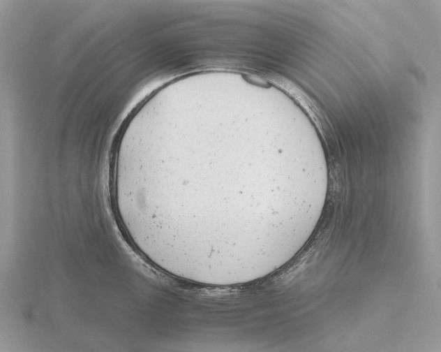 X0000115681147200912101128