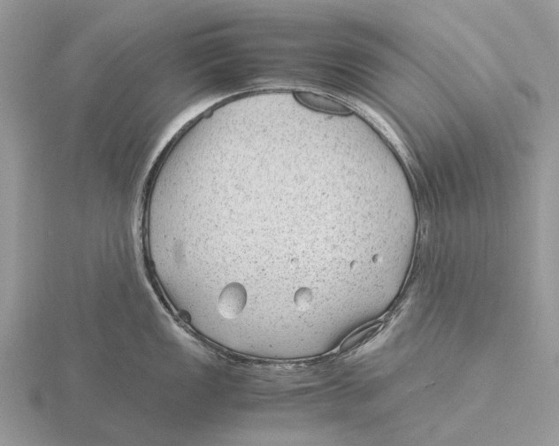 X0000115681149200912101128