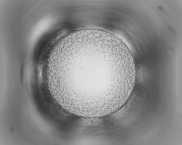 X0000115681150200912101128