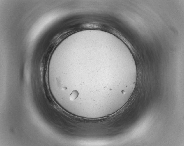 X0000115681151200912101128