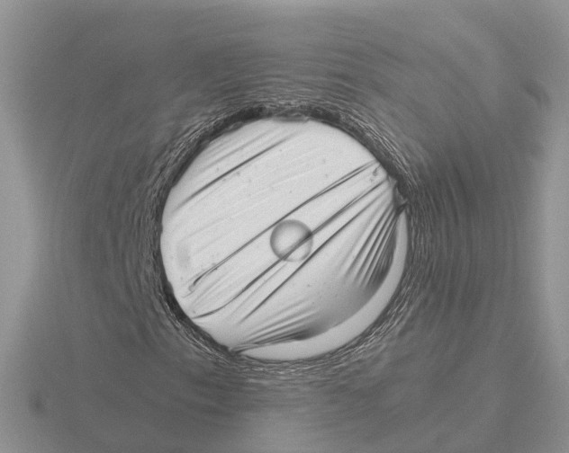 X0000115681153200912101127