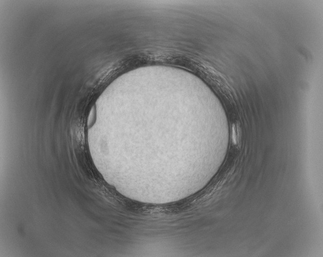 X0000115681155200912101127