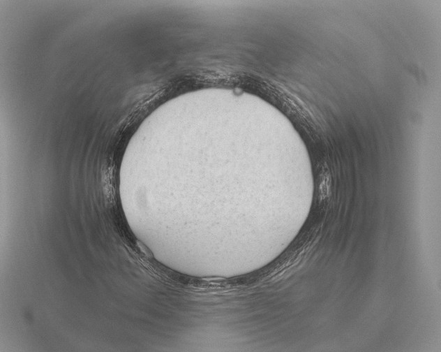 X0000115681156200912101127