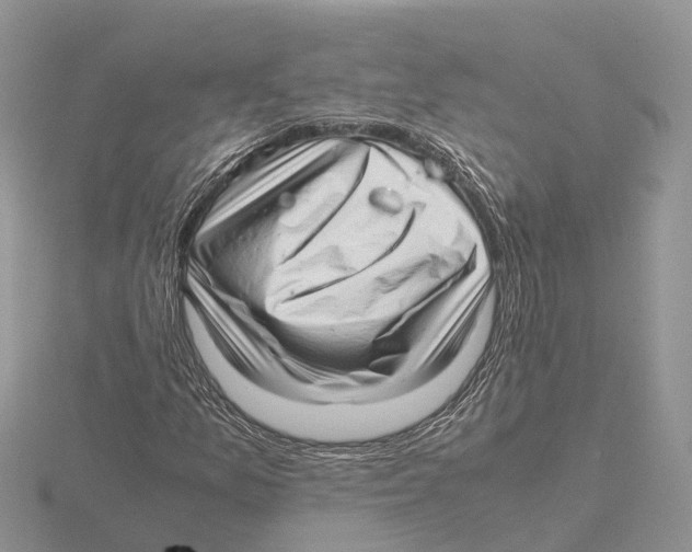 X0000115681157200912101127