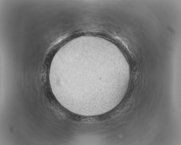 X0000115681159200912101127