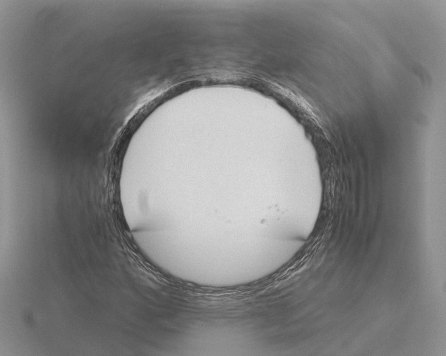 X0000115681160200912101127