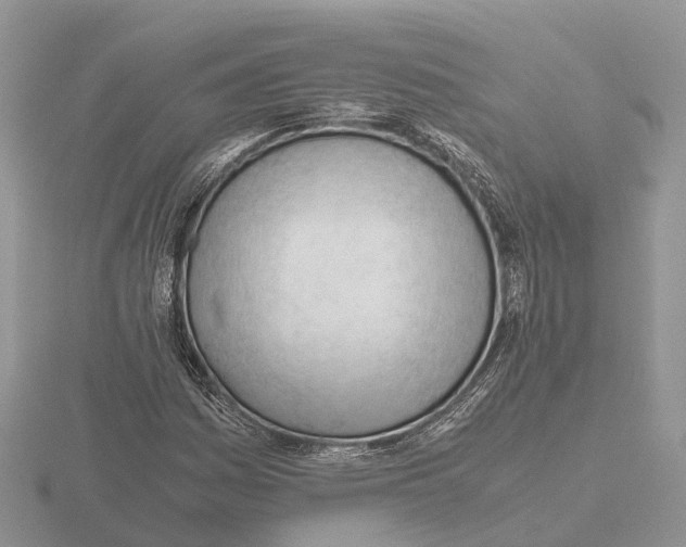 X0000115681161200912101127