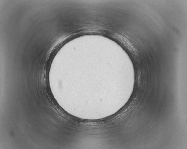 X0000115681164200912101127