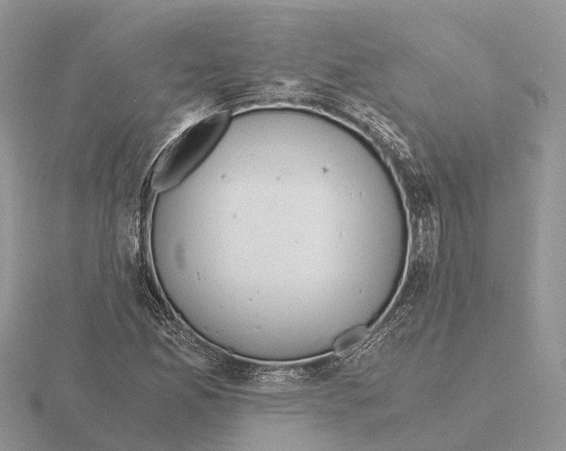 X0000115681165200912101127