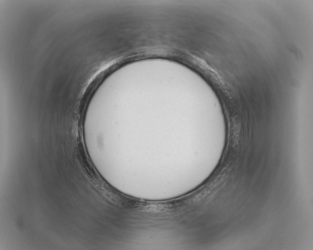 X0000115681166200912101127