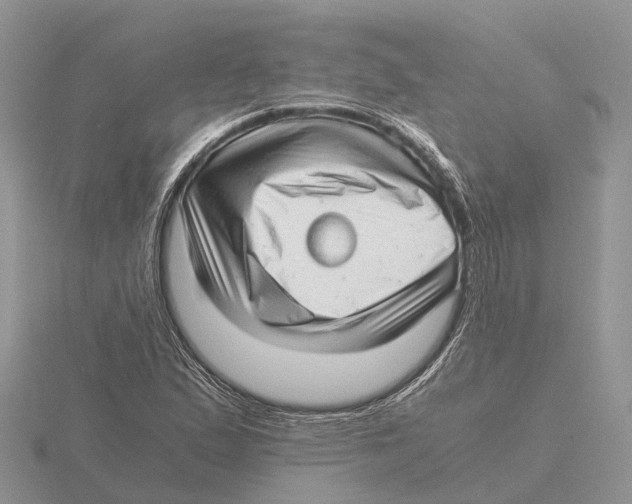 X0000115681167200912101127