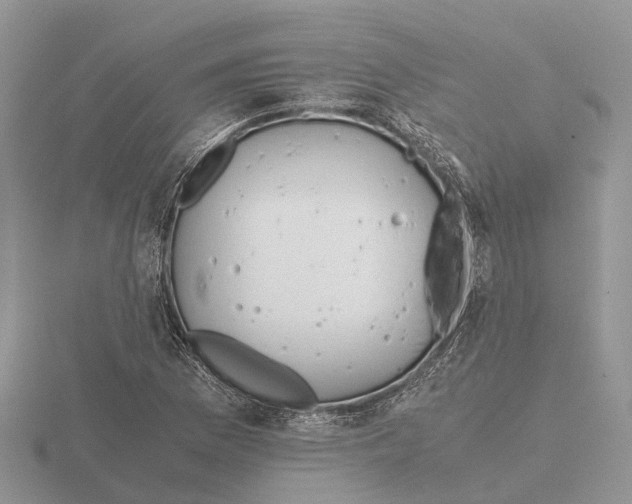 X0000115681169200912101127