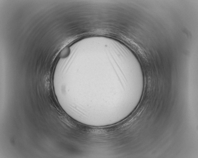 X0000115681170200912101127