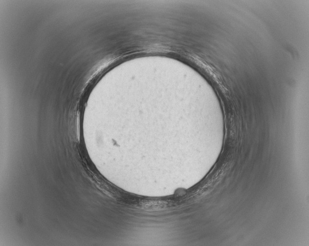 X0000115681171200912101127