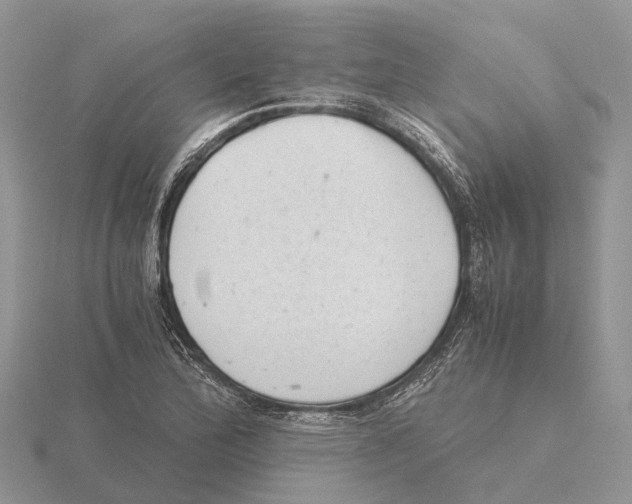 X0000115681172200912101127