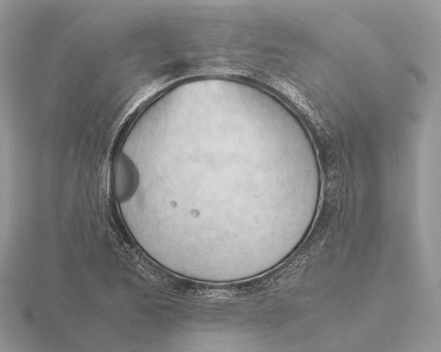 X0000115681173200912101127