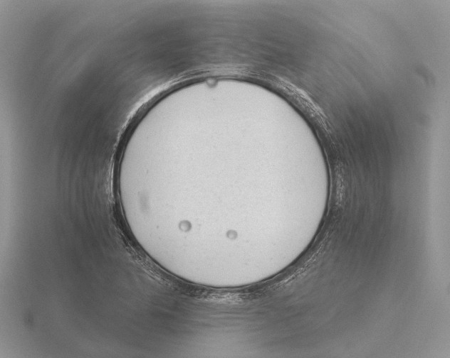 X0000115681174200912101127