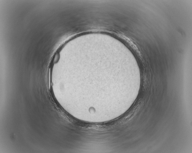 X0000115681175200912101127