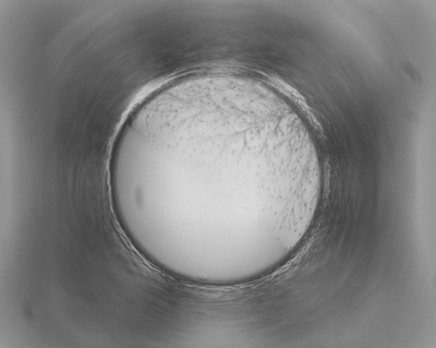 X0000115681176200912101127