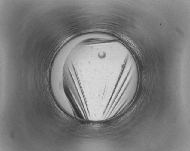 X0000115681177200912101127