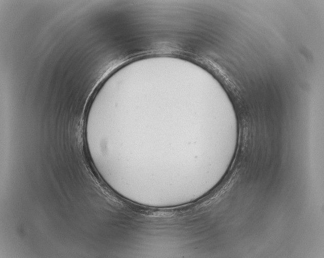 X0000115681178200912101127