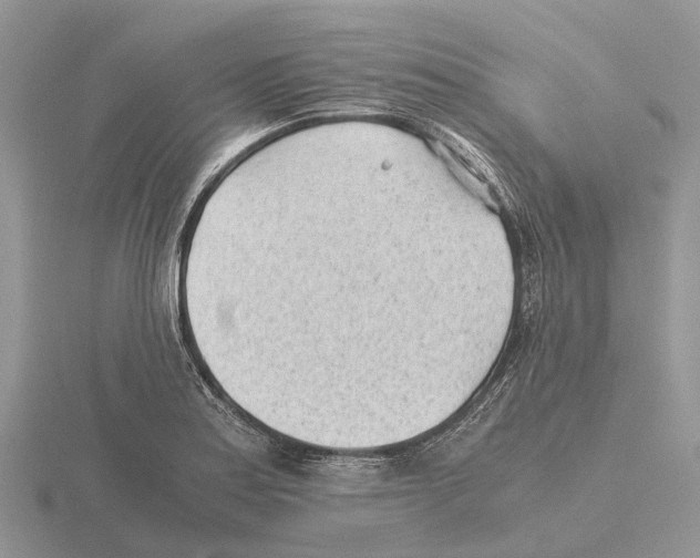 X0000115681179200912101127