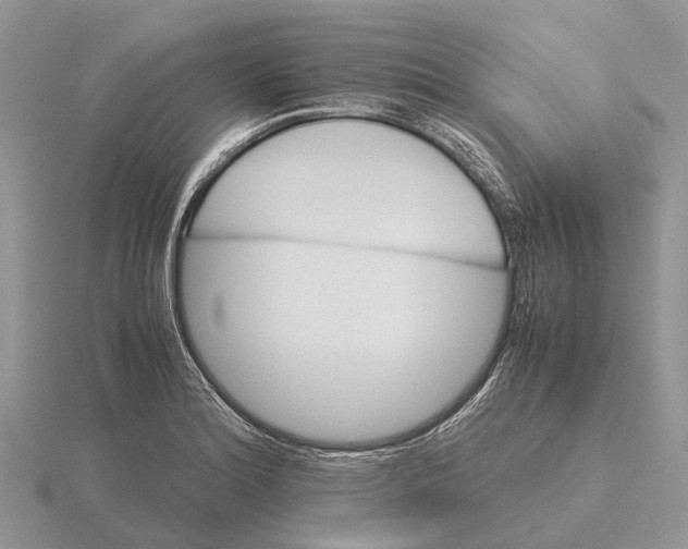 X0000115681180200912101127