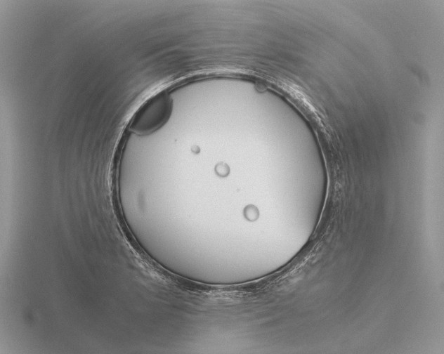 X0000115681181200912101127